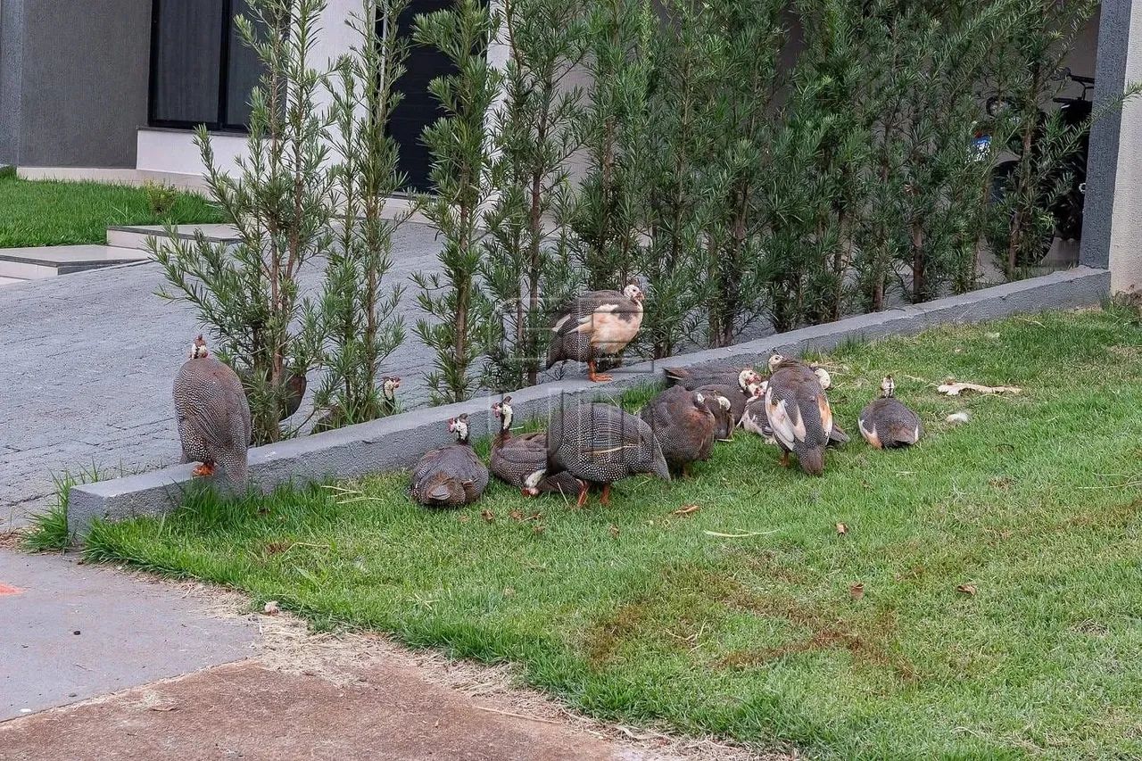 Terreno em condomínio - Bella Vittá - Em ilha totalmente plano - Foto 15