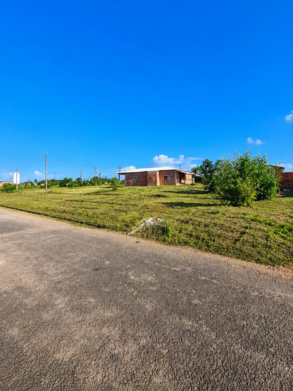 LOTE NO FLORESTA TROPICAL - Foto 2