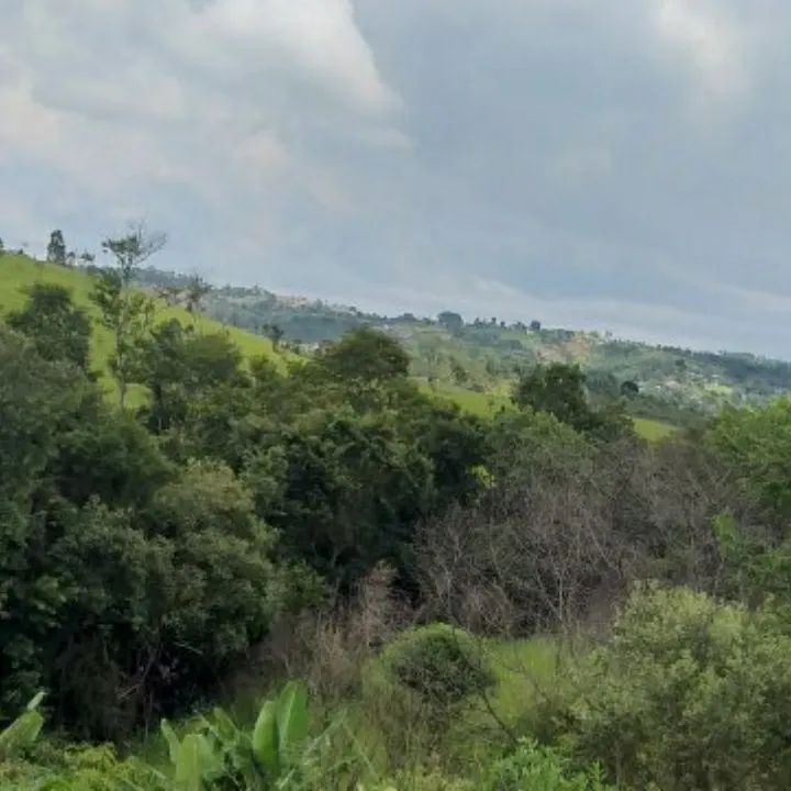 Foto - São Paulo - Vila Buenos Aires