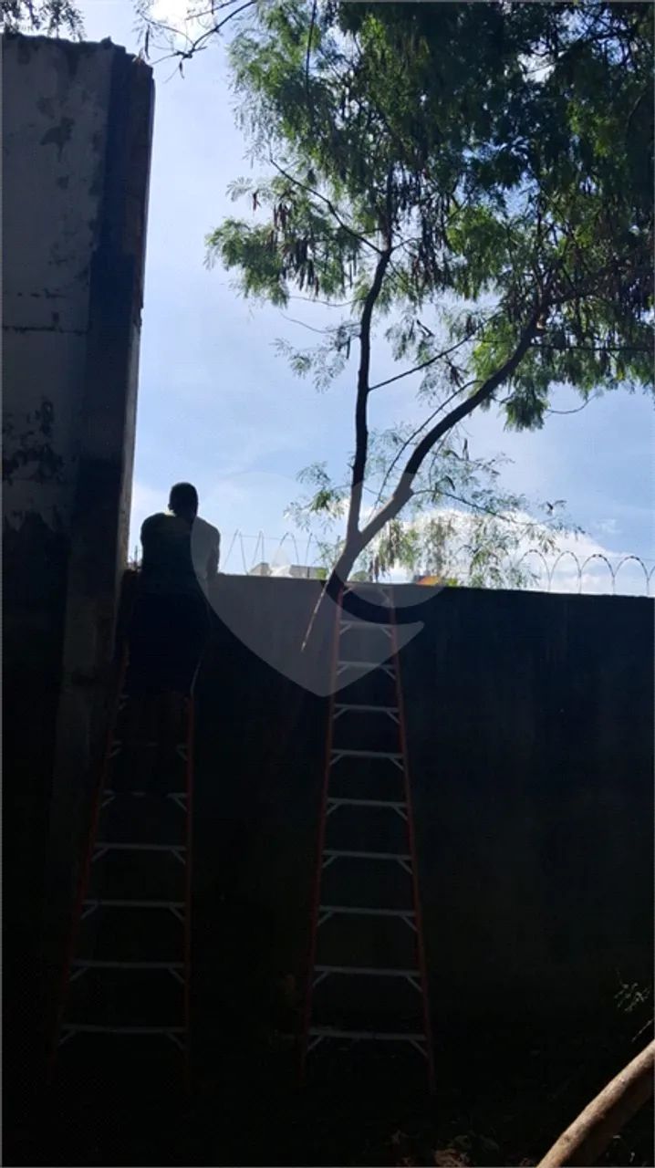 Terreno à venda em Centro - SP - Foto 4