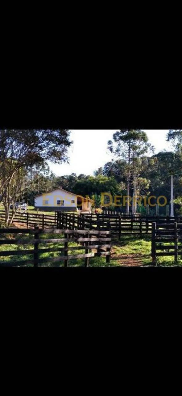 Sítio com 2 Quartos à Venda - Lagoinha - Foto 3