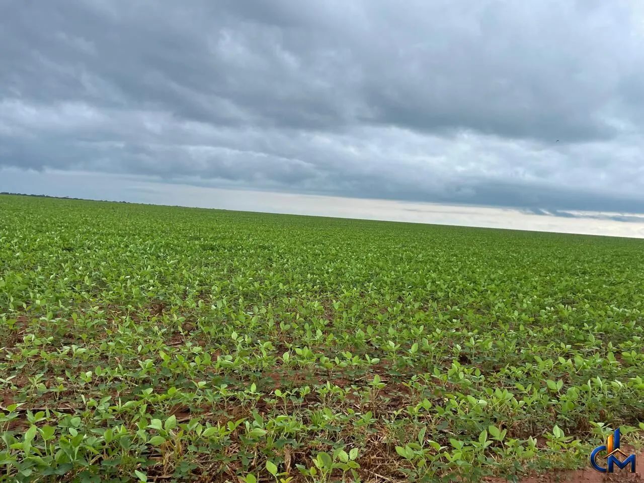 Fazenda em Querencia - Foto 3