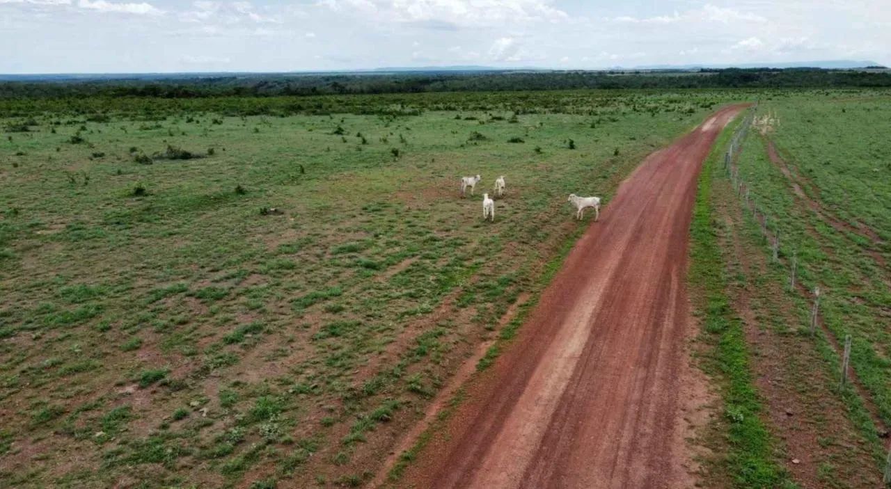 Fazendaa venda no Vale do Araguaia - Foto 3