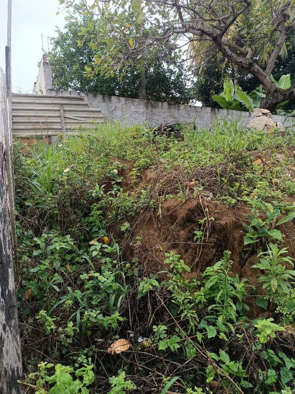 Oportunidade Terreno acessível  - Foto 5