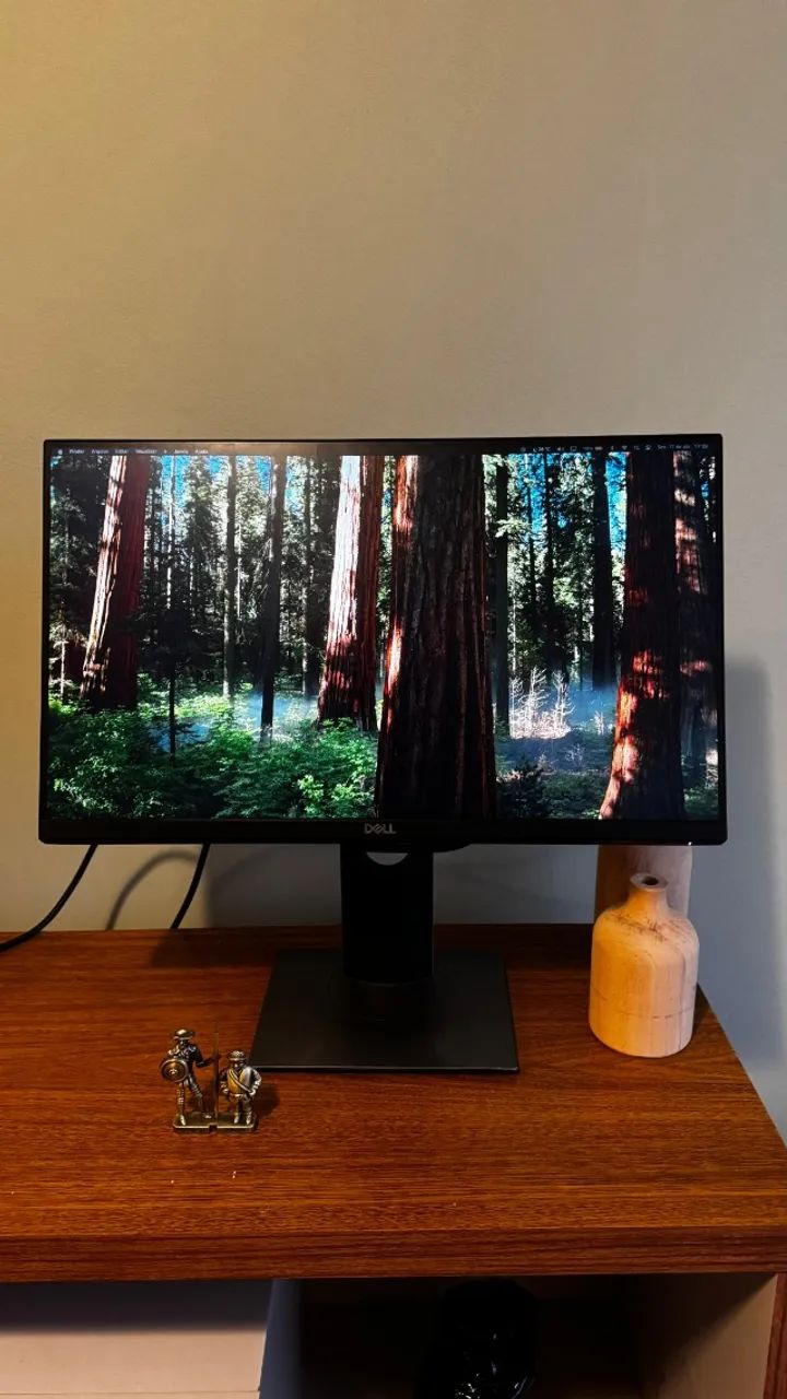 Monitor Dell 22 Full HD IPS - Profissional