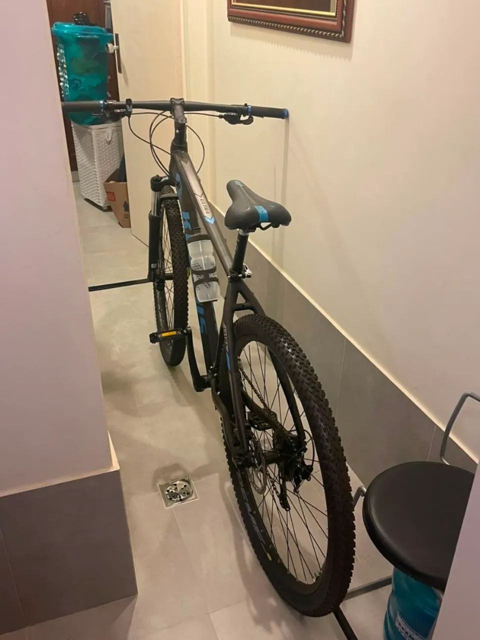 Bicicleta