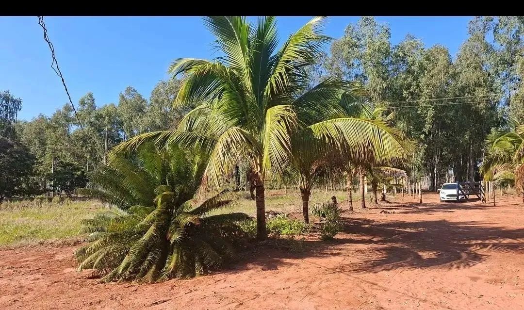 Oportunidade Unica