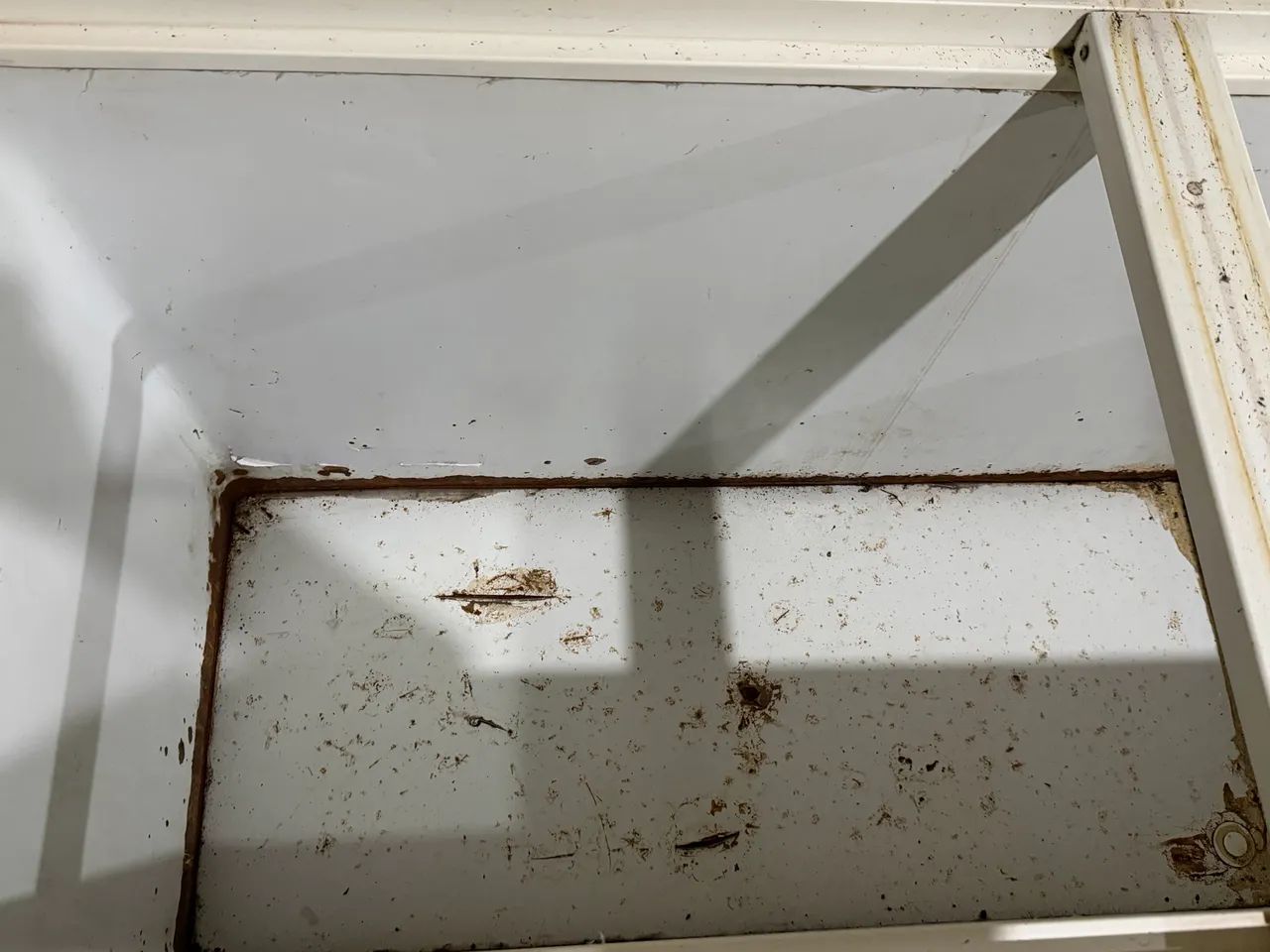 Freezer 2.250  - Foto 2