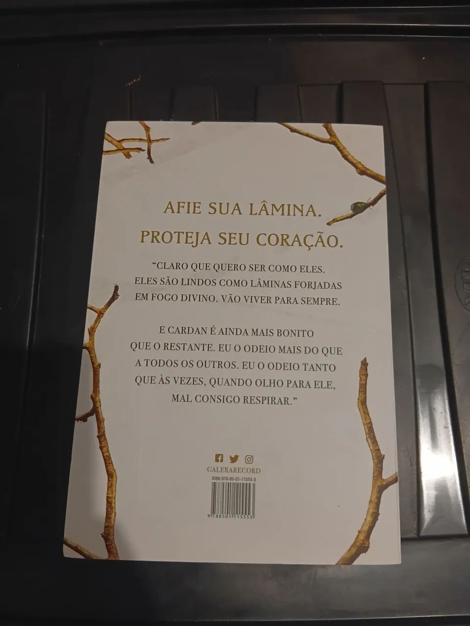 Primeiro Vol. O Príncipe Cruel.