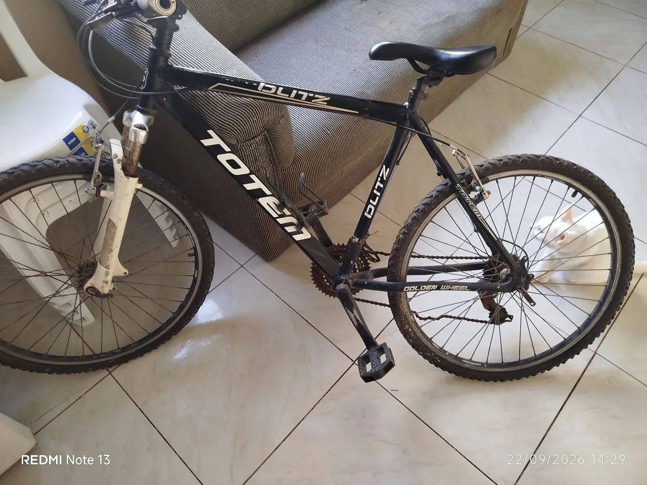Vendo bicicleta totem  - Foto 3