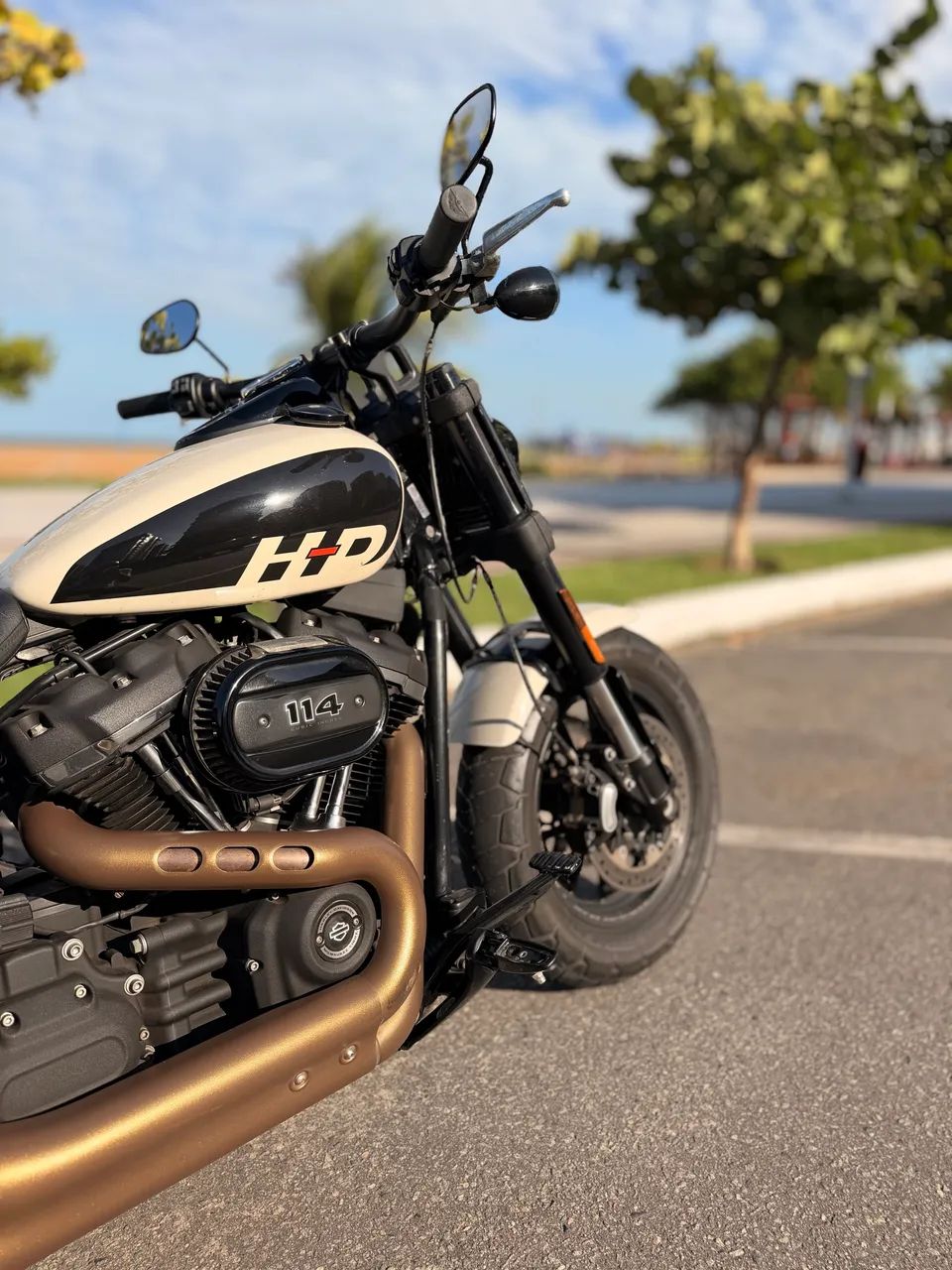 Harley Davidson Fat Bob 114 2022 - Foto 4