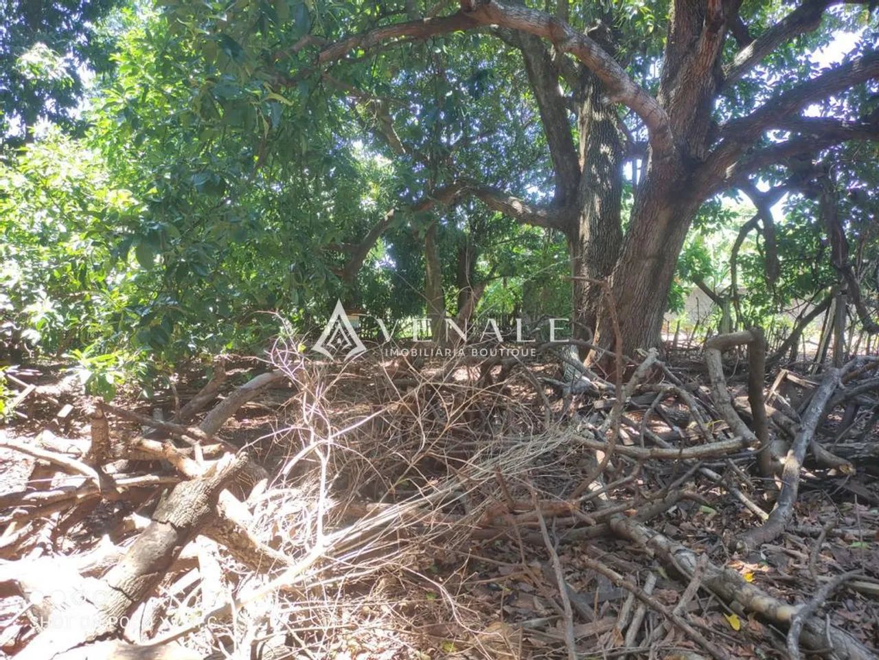 Terreno à venda em Maringá, Vila Morangueira, com 1425 m² - Foto 3
