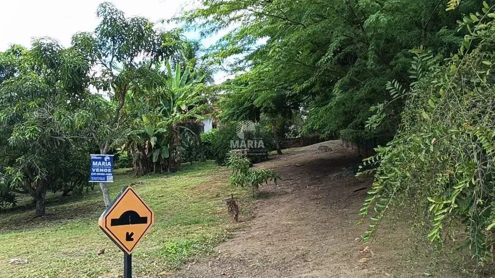 Imóvel para venda tem 1000 metros quadrados em Saire - Sairé - PE - Foto 8