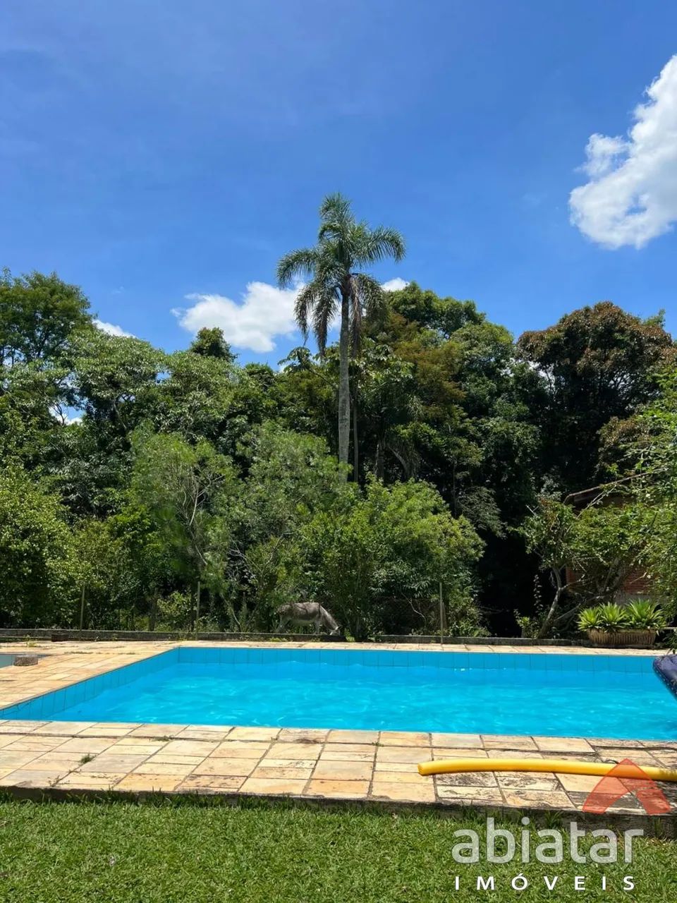 Chácara à venda - Sítio Pinheiros - Itapecerica da Serra - Foto 4