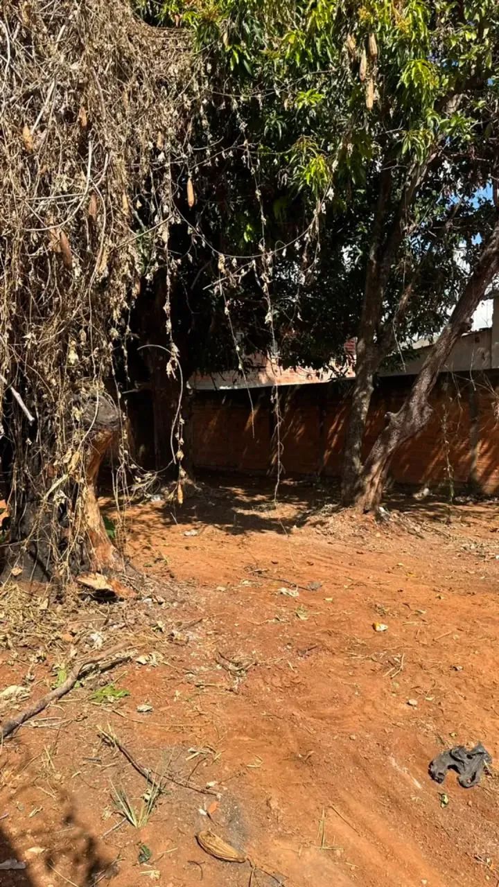 Lote Grande à Venda - Foto 5