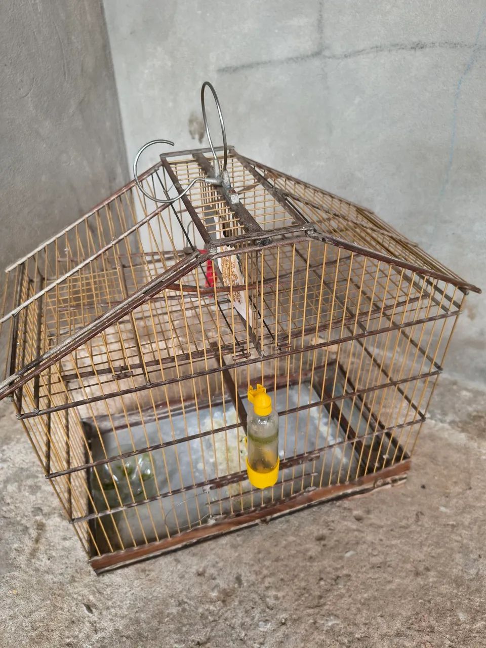 Vendo Gaiola Automática  - Foto 2