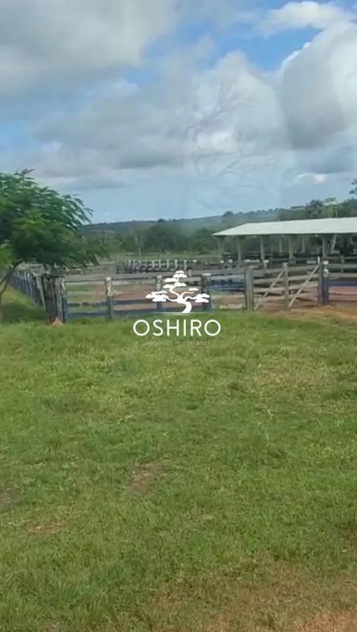 FAZ. DUPLA APTIDÃO EM TORIXORÉU -MT - NIL. CÓD. 15371 - Foto 4