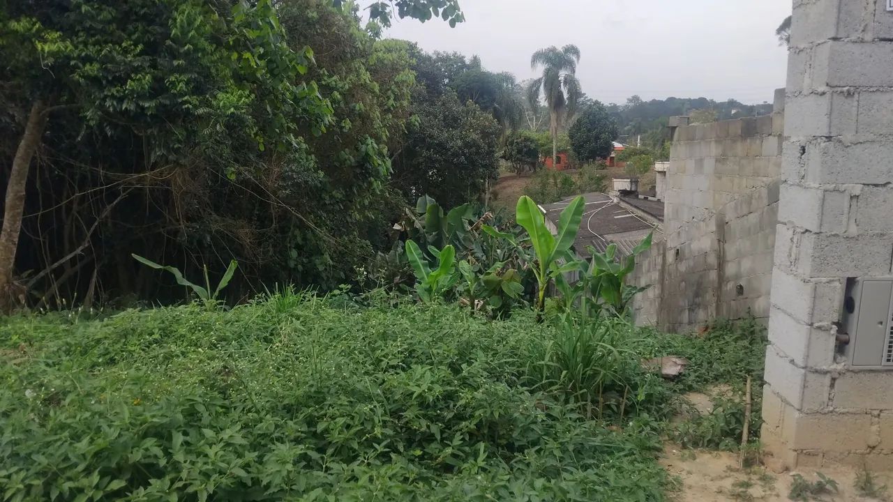 Terreno chacrinha - Foto 2