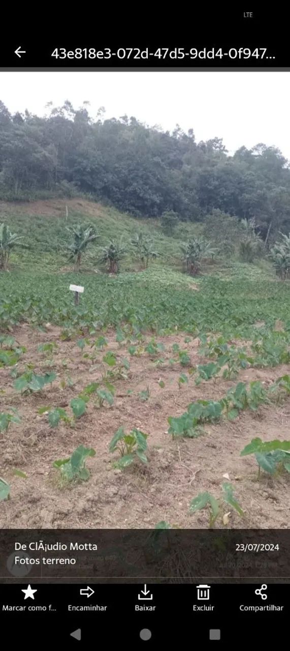 Terreno em Área Verde Cachoeiras de Macacu  - Foto 3
