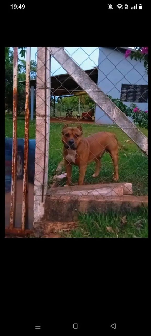 Pit Monster 
