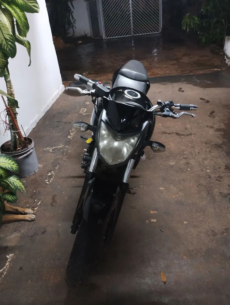 Dafra next 250cc DOCUMENTADA  - Foto 5