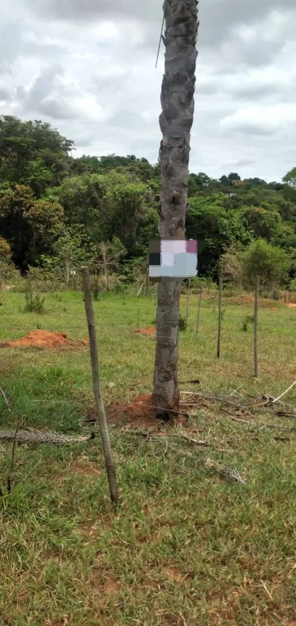 Lote, Excelente oportunidade  - Foto 2