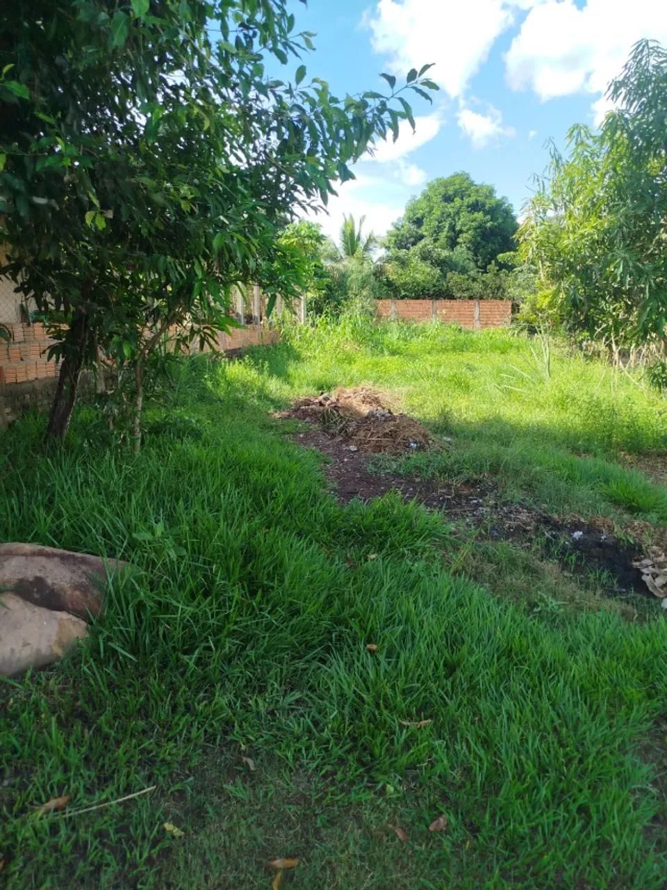 Terreno em piraputanga Ms - Foto 3