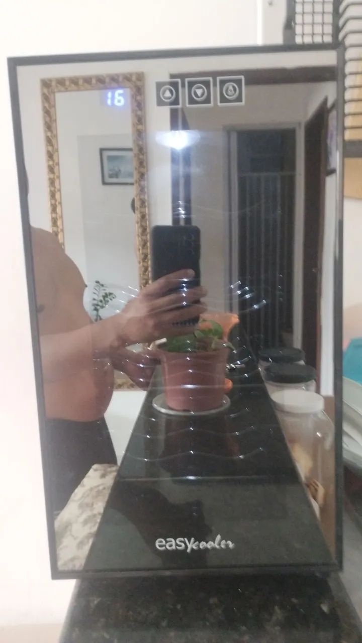 Adega refrigerada 500