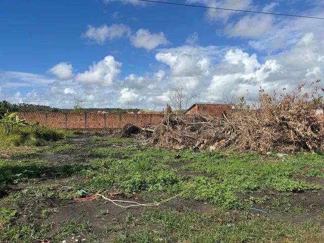 Terreno/Marechal Deodoro  - Foto 3