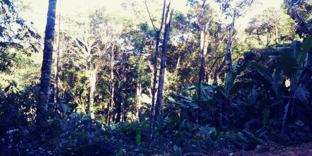 Chácara em Camboriú, local elevado, fácil acesso por Brusque, ideal para lazer - Foto 6