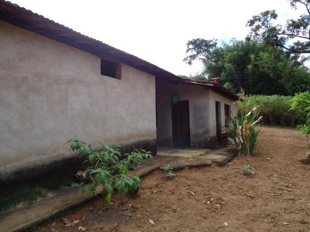 226B/Fazendinha de 15 ha com terras extraordinárias - grande oportunidade - Foto 18