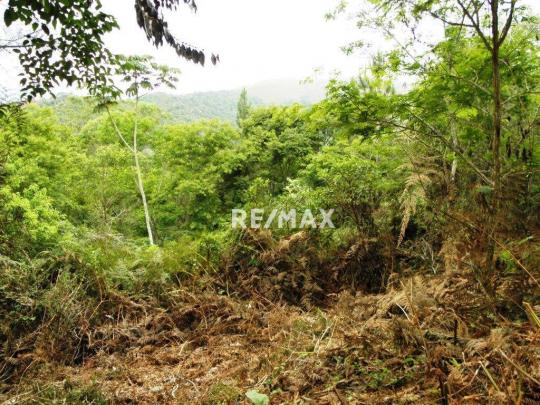 Terreno residencial à venda, Jardim Salaco, Teresópolis - TE0010. - Foto 12