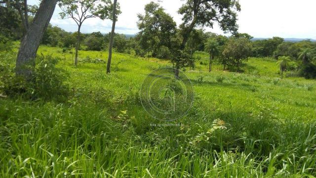 Fazenda 200 hectares na beirada br 070 - Foto 4