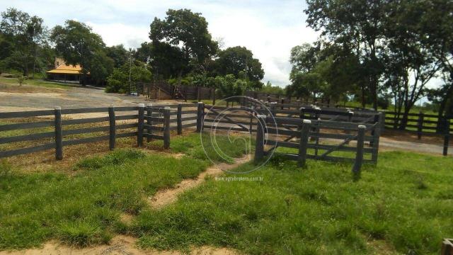Fazenda 200 hectares na beirada br 070 - Foto 18
