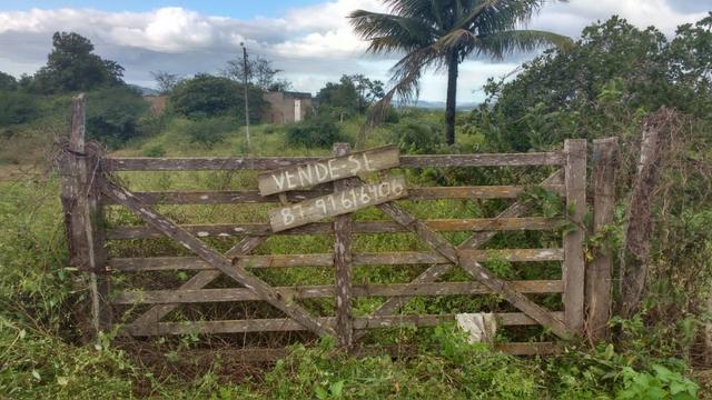 Excelente Propriedade em Belo Jardim, 7,5 hectares - Foto 7