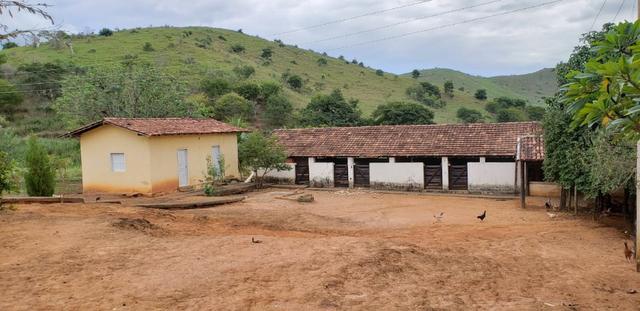 Fazenda 12 alqueires em Governador Valadares/MG - Foto 8