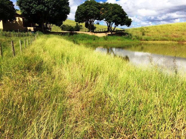 Fazenda 1001 hectares próximo a Teófilo Otoni/MG - Foto 6
