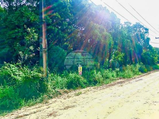 Terreno à venda em Balneário volta ao mundo i, Itapoá cod:155863 - Foto 5