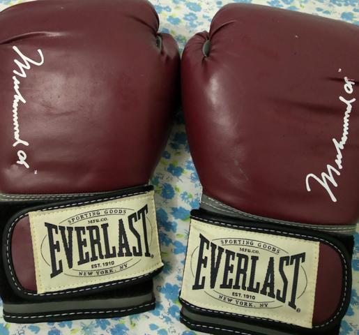 Luva Box Everlast