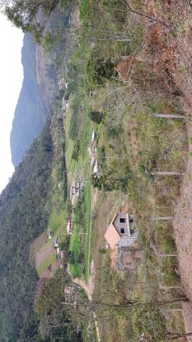 Terrenos - Foto 3
