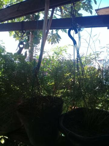 Vende-se uma casa - Foto 7