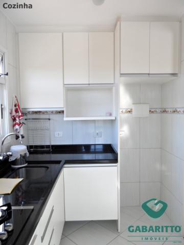 Apartamento para alugar com 2 dormitórios em Ipe, Sao jose dos pinhais cod:00318.001 - Foto 9