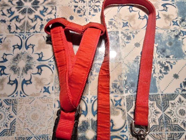 Guia e peitoral para pets - Tamanho M - Foto 3