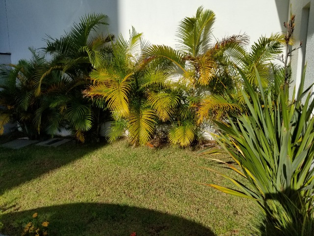 Apartamento novo, 2 dormitórios, elevador - Foto 16