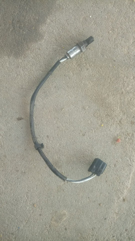 Sonda lamina pra vender logo