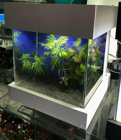Aquário cubo c/ sump de 30 cmm - Foto 4