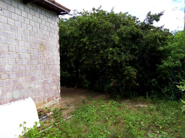 Casa Ilha de Itamaracá - Forte Orange - Foto 4