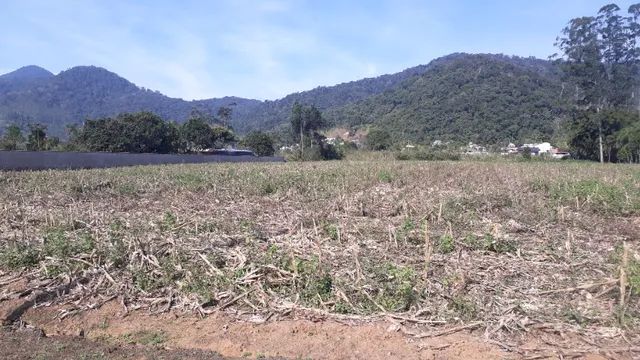 Vende-se terreno industrial ou comercial  - Foto 4