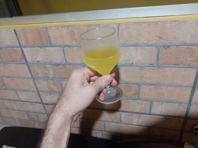 Vinho artesanal de frutas amazonicas - Foto 6