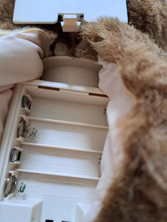 Urso Interativo Web Estrela - Foto 4